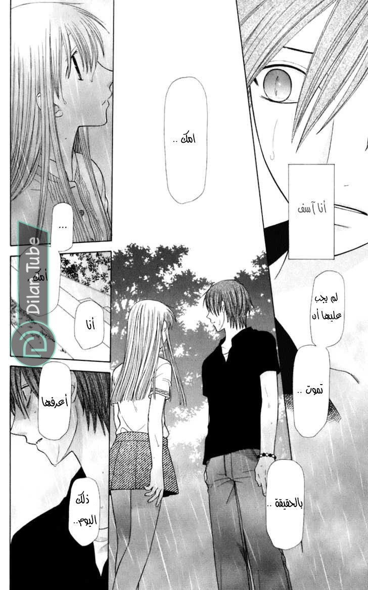 Read Fruits basket AR Manga Online