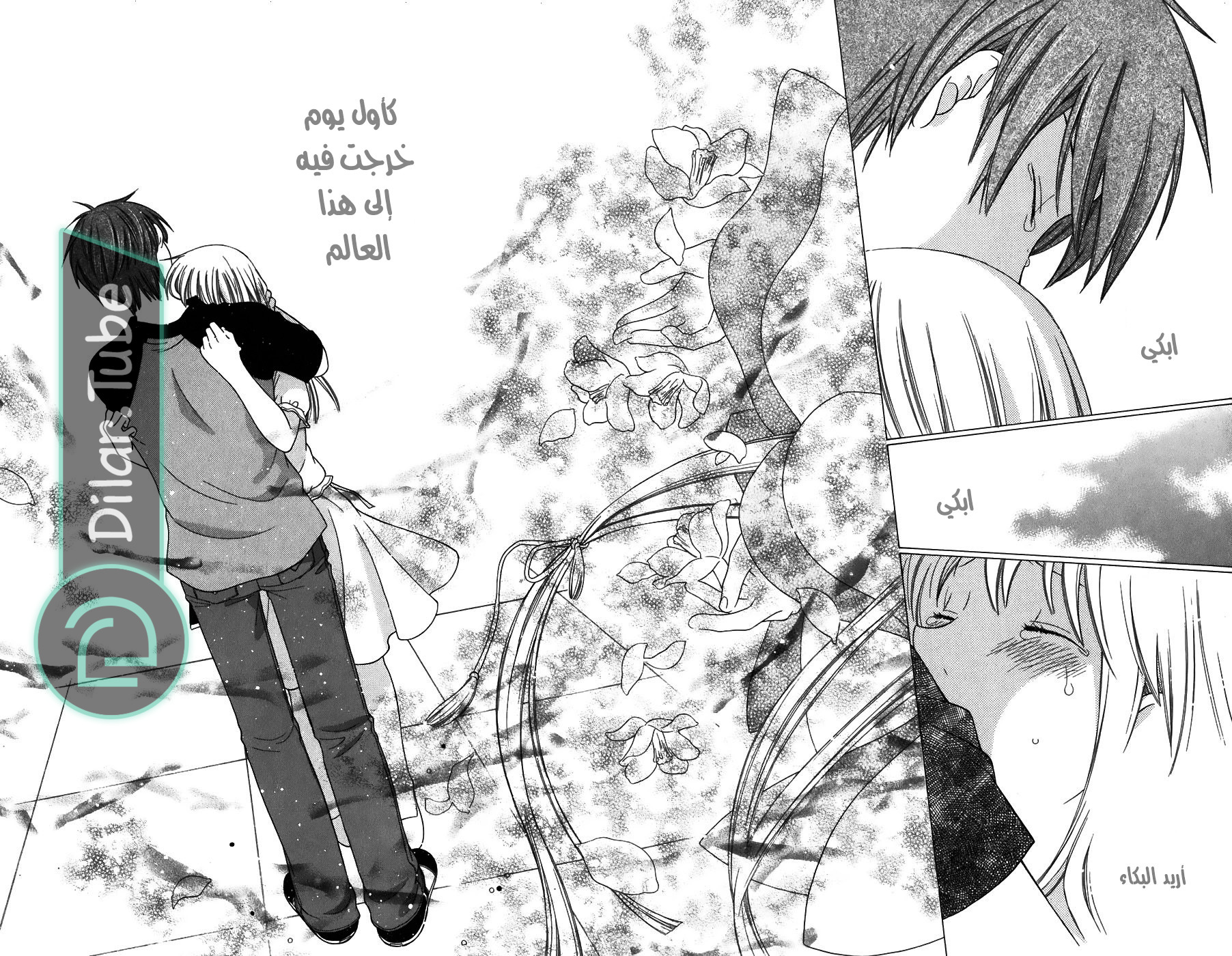 Read Fruits basket AR Manga Online