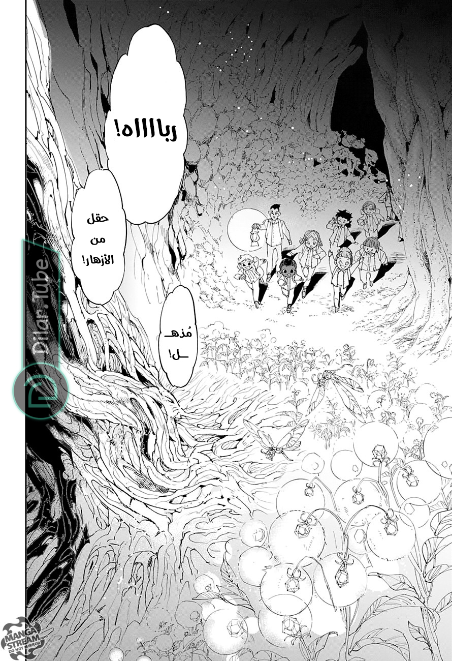 Read The Promised Neverland AR Manga Online