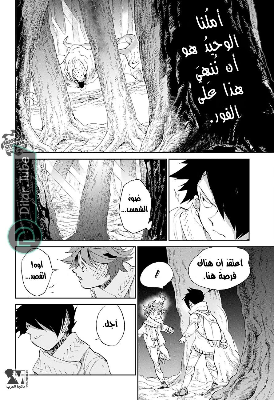 Read The Promised Neverland AR Manga Online