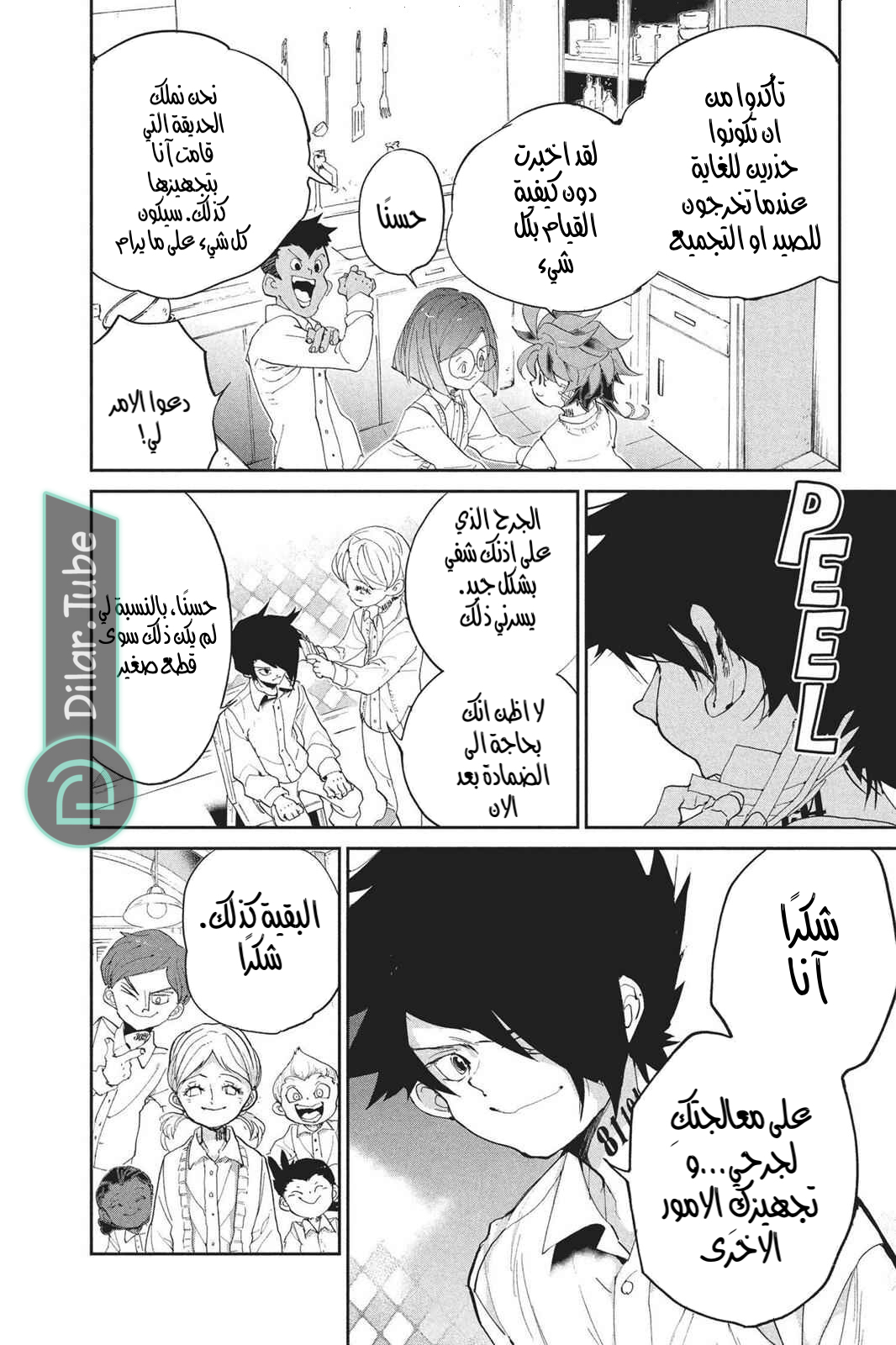 Read The Promised Neverland AR Manga Online
