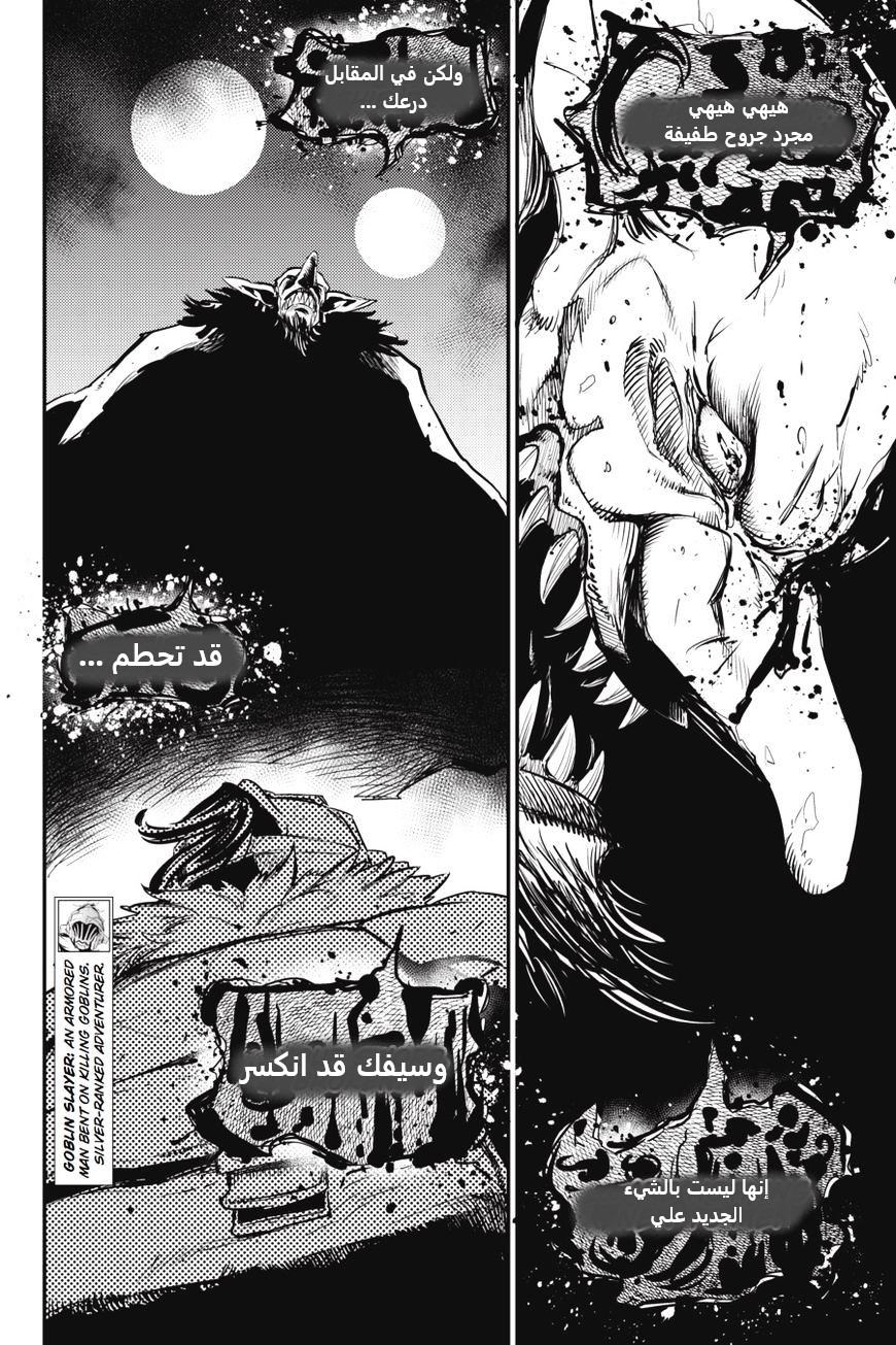 Read goblin slayer AR Manga Online