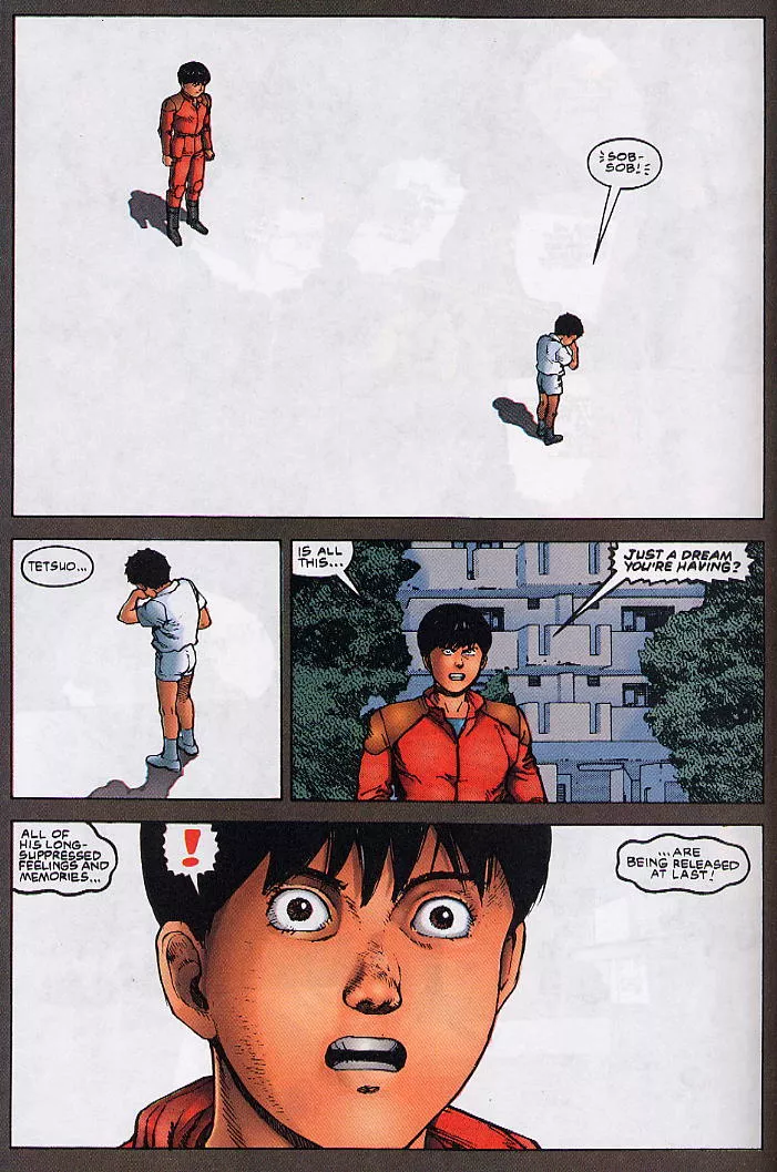 Read Akira EN Manga Online