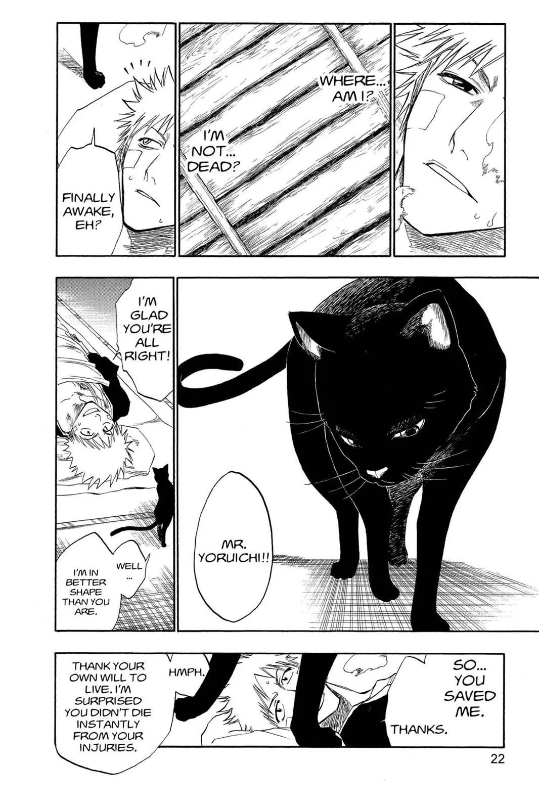 Read Bleach EN Manga Online