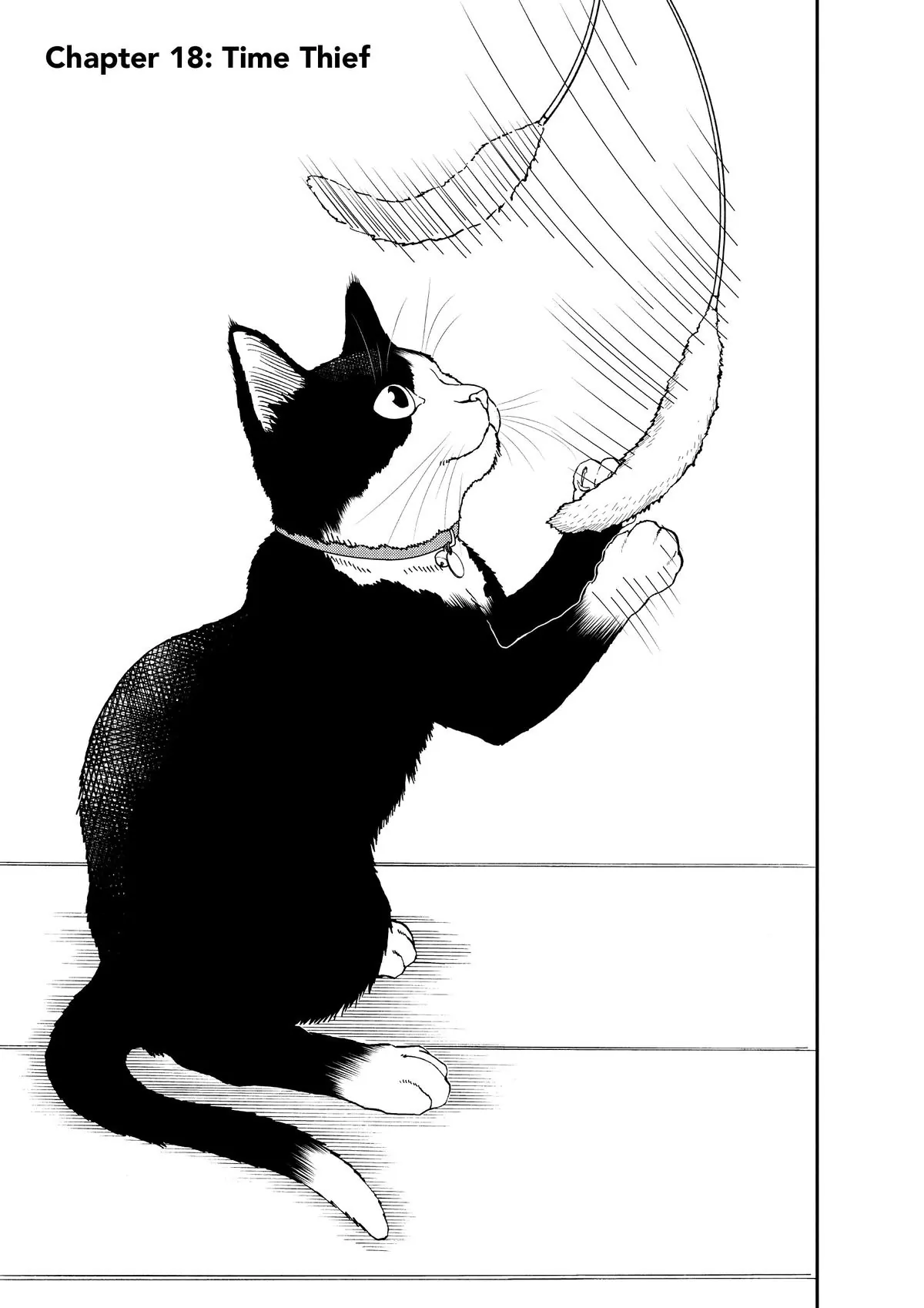 Read Cat + Gamer EN Manga Online