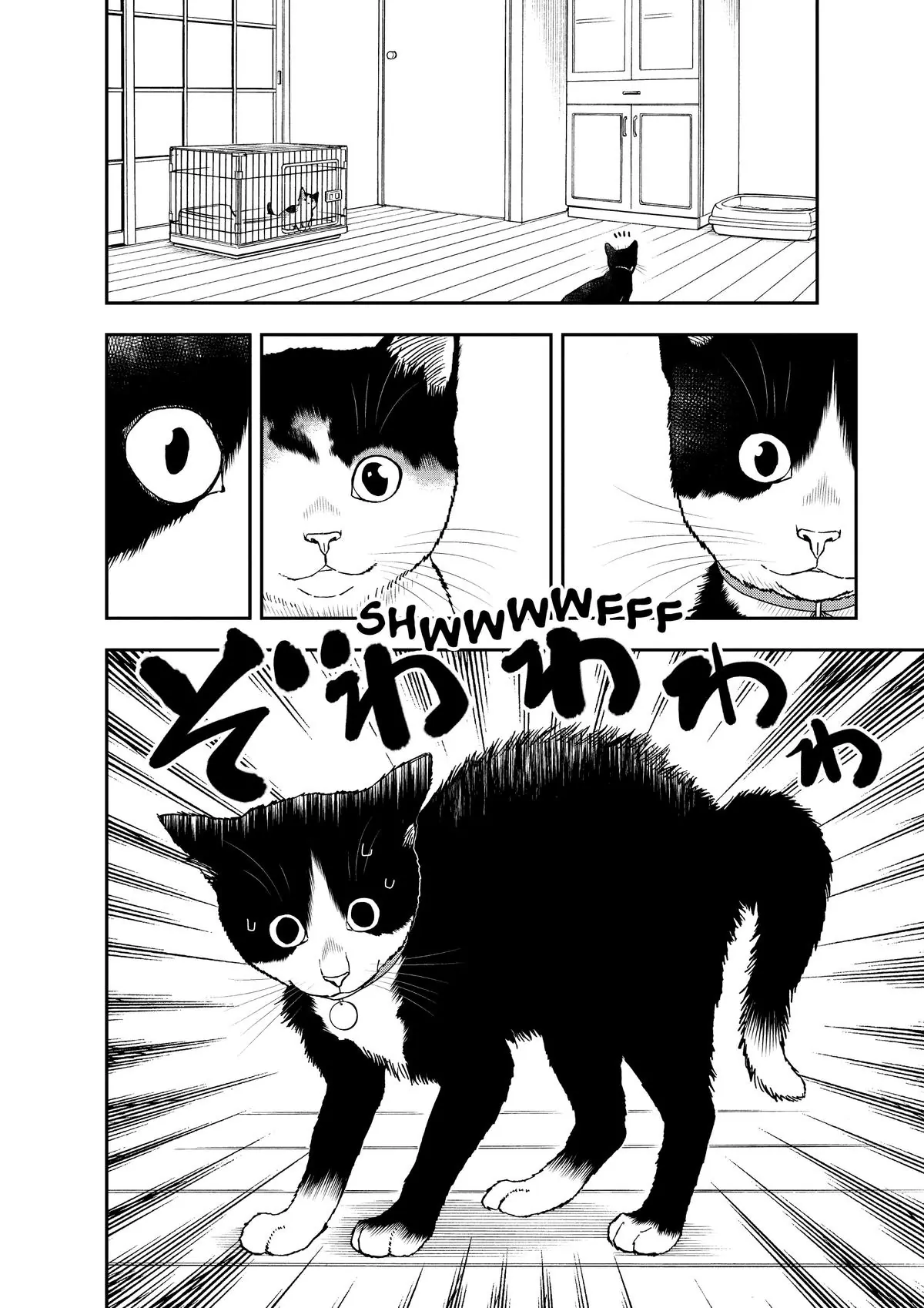 Read Cat + Gamer EN Manga Online