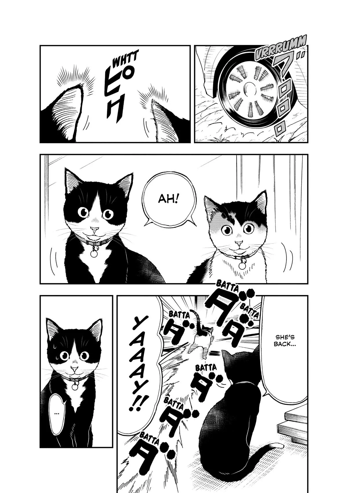 Read Cat + Gamer EN Manga Online
