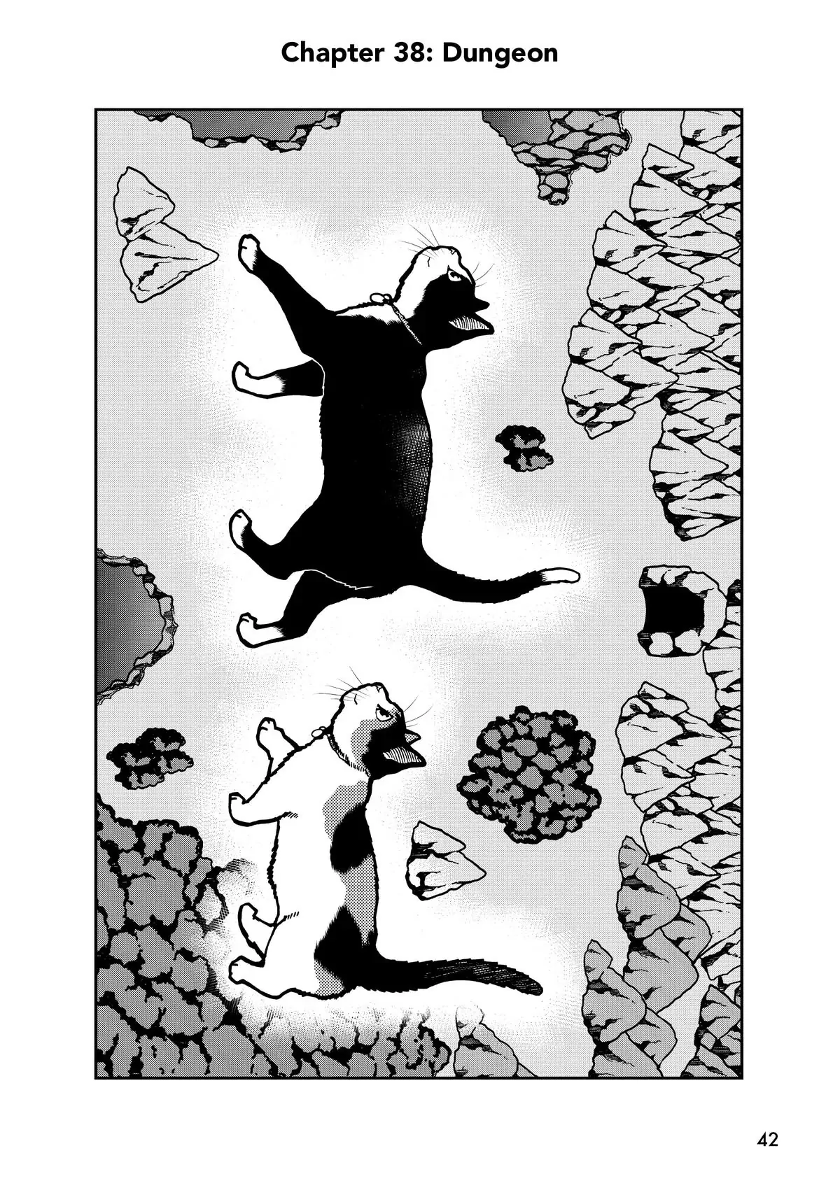 Read Cat + Gamer EN Manga Online