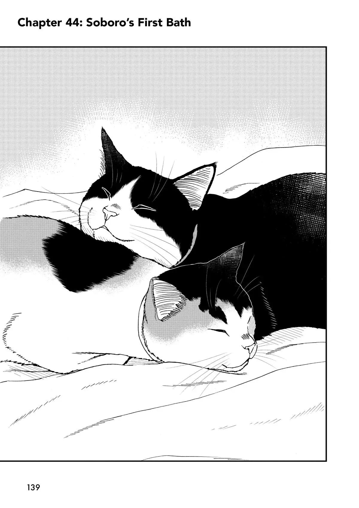 Read Cat + Gamer EN Manga Online
