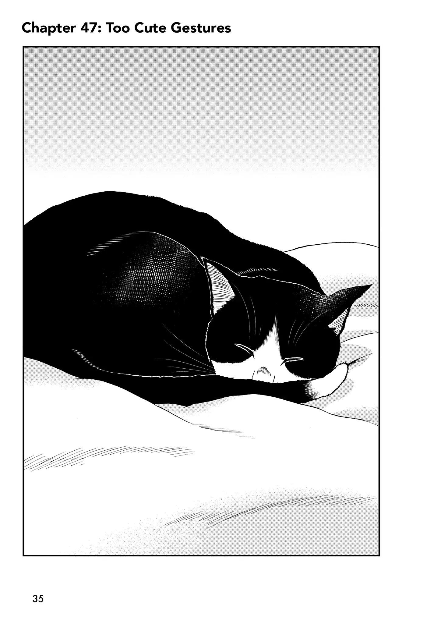 Read Cat + Gamer EN Manga Online
