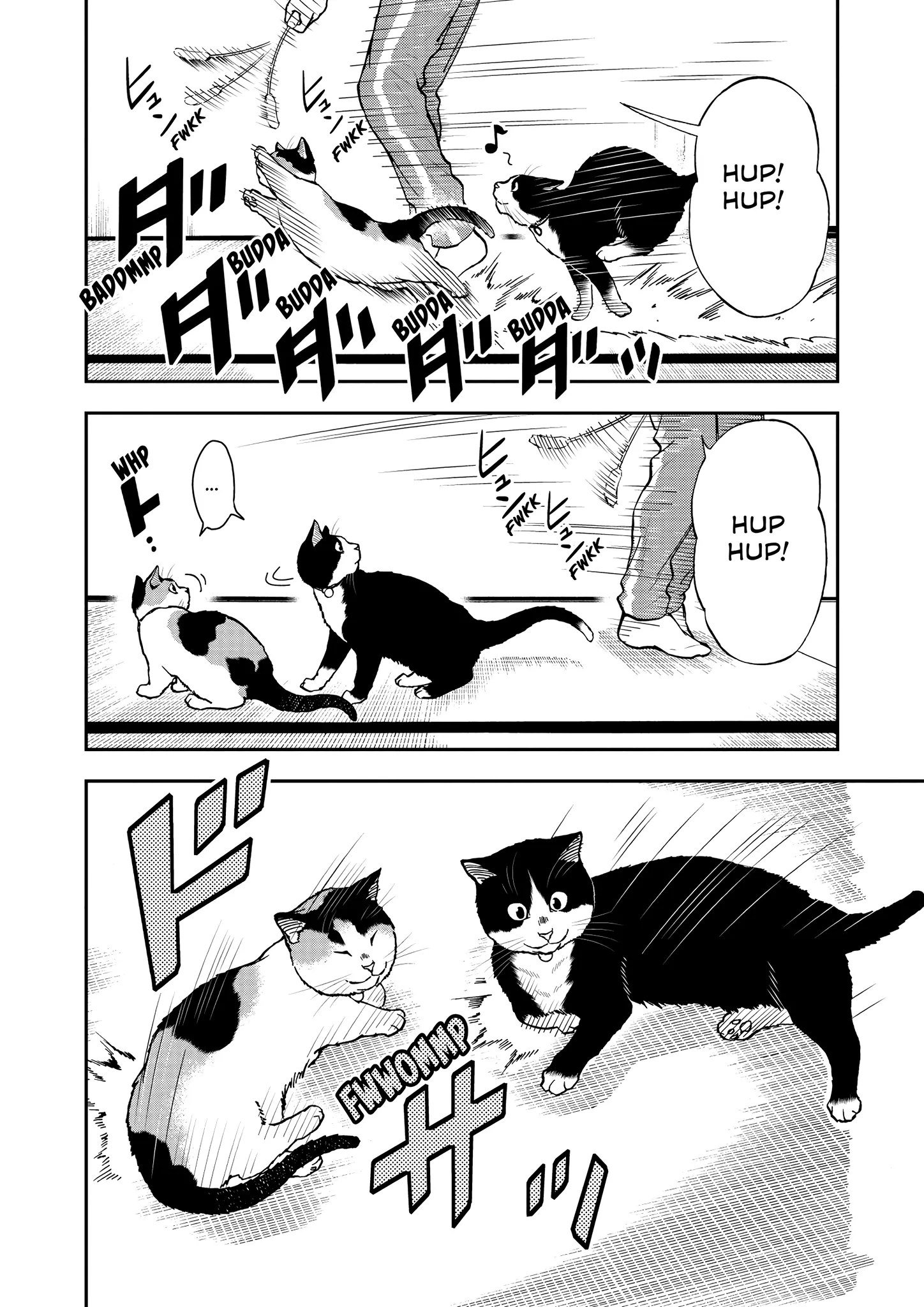 Read Cat + Gamer EN Manga Online