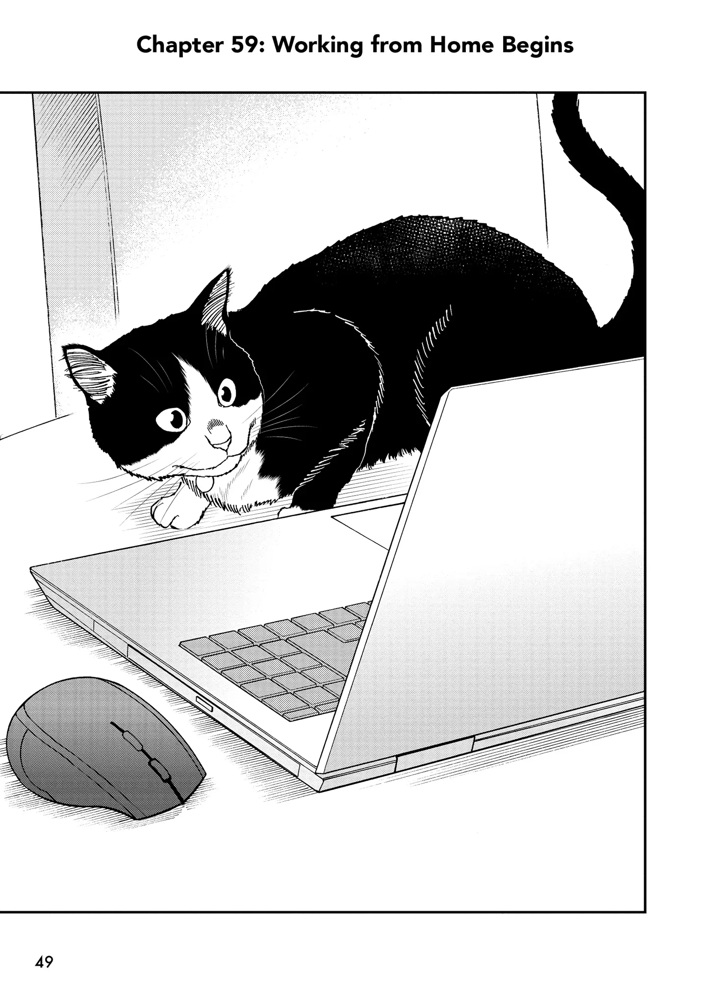 Read Cat + Gamer EN Manga Online