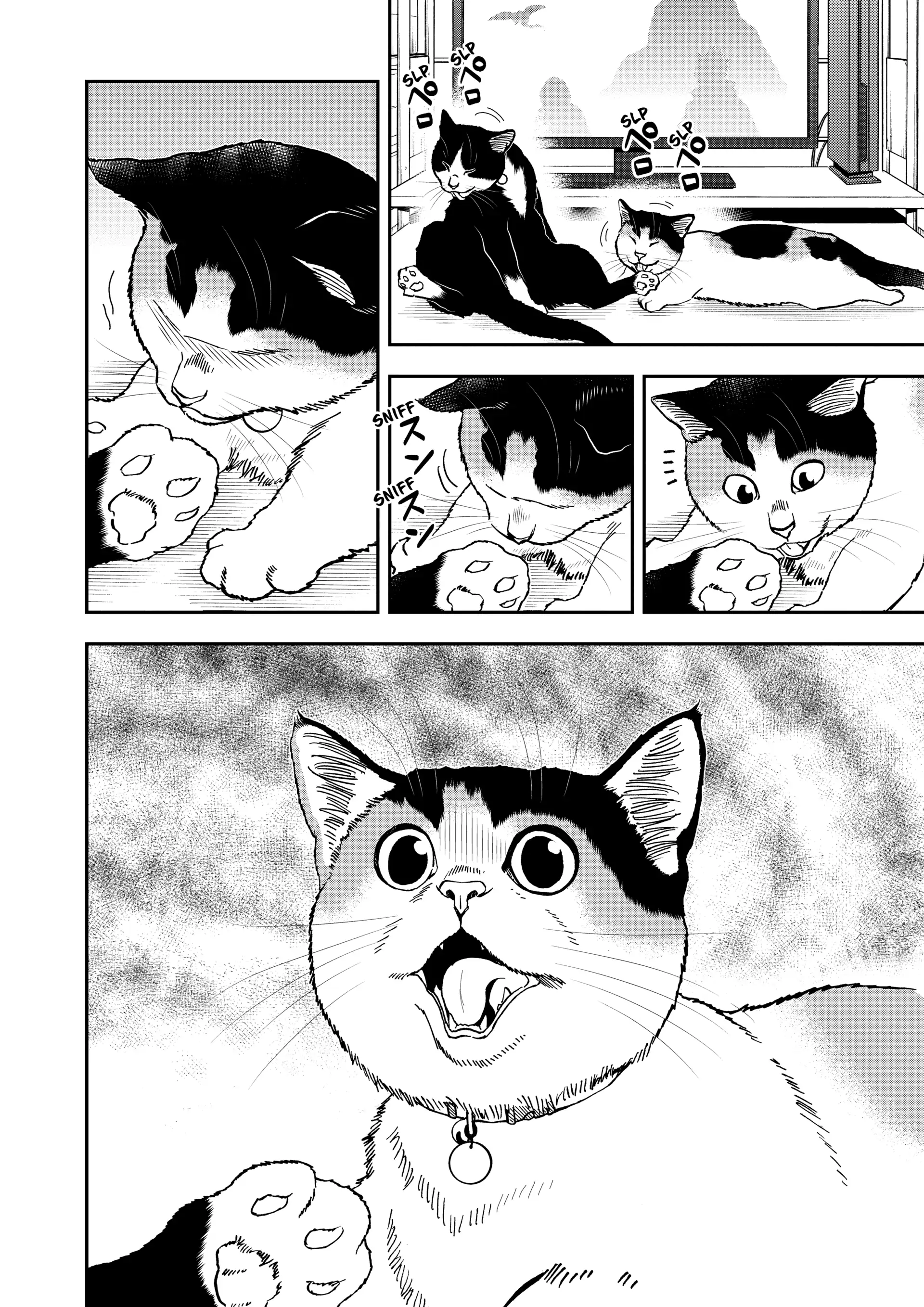 Read Cat + Gamer EN Manga Online