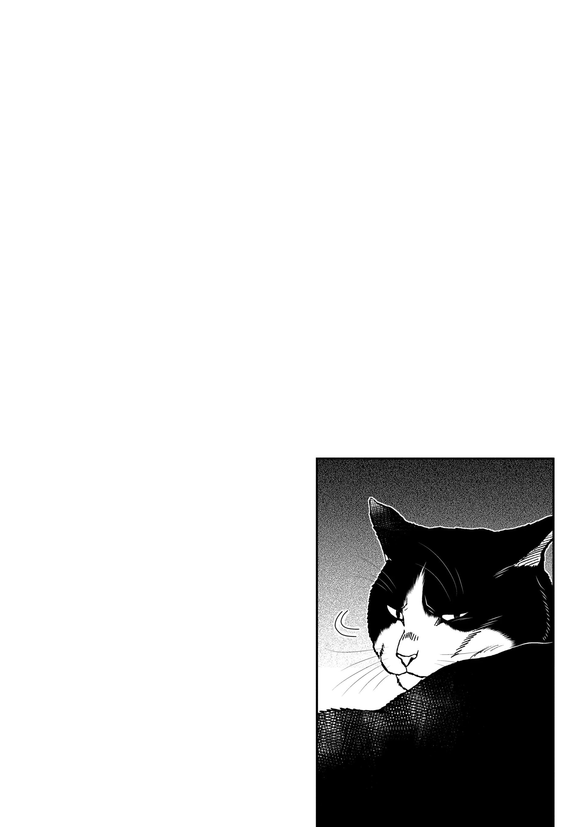 Read Cat + Gamer EN Manga Online
