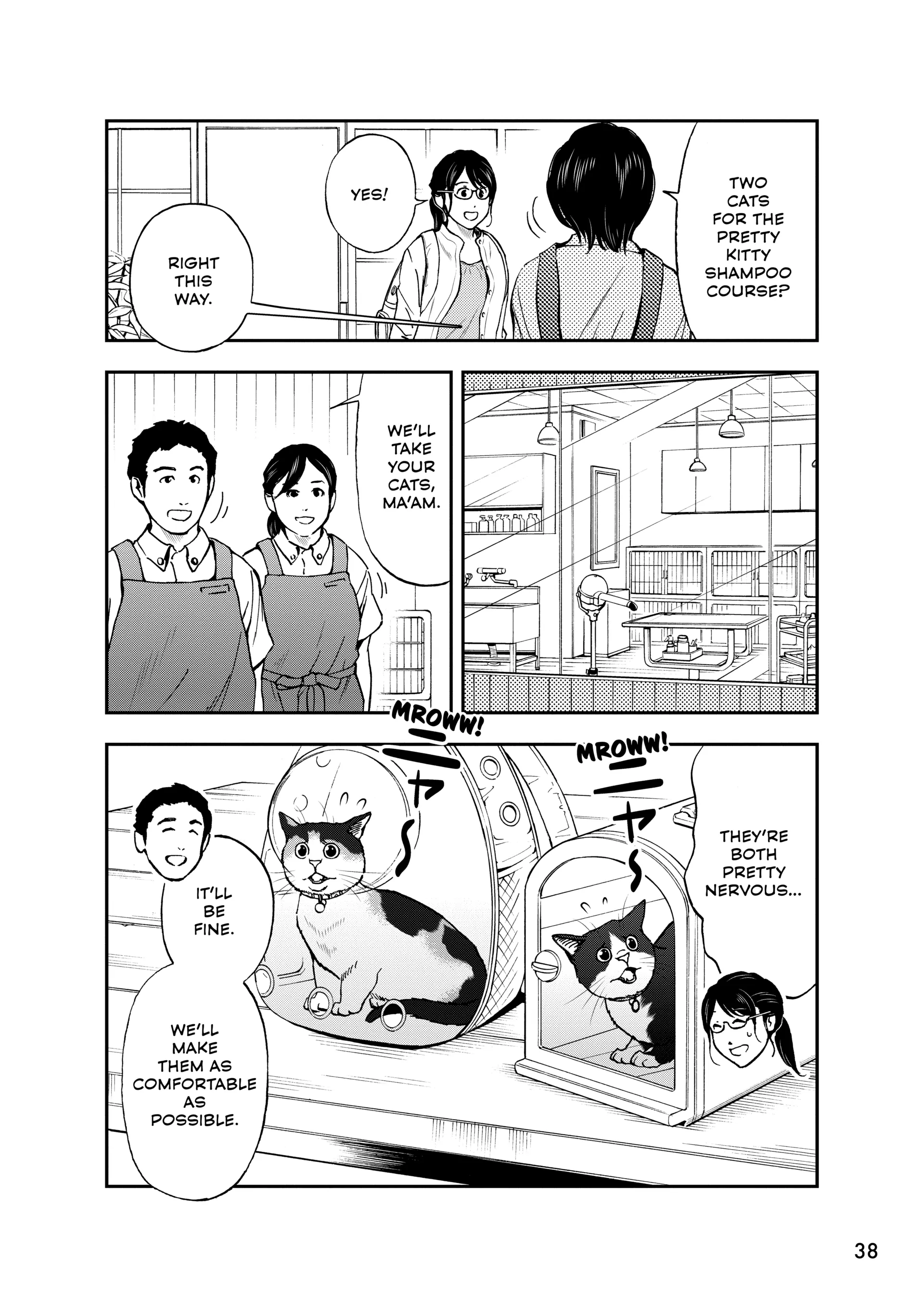 Read Cat + Gamer EN Manga Online