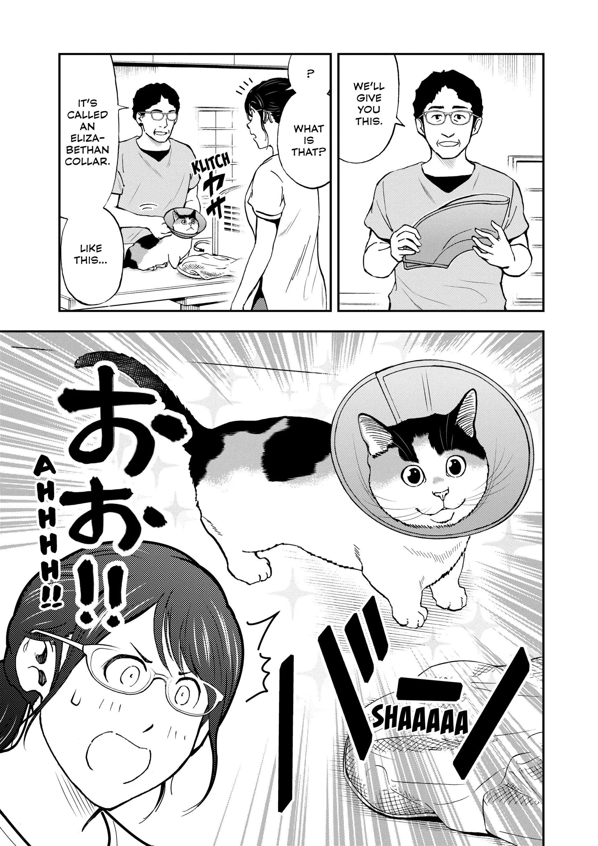 Read Cat + Gamer EN Manga Online