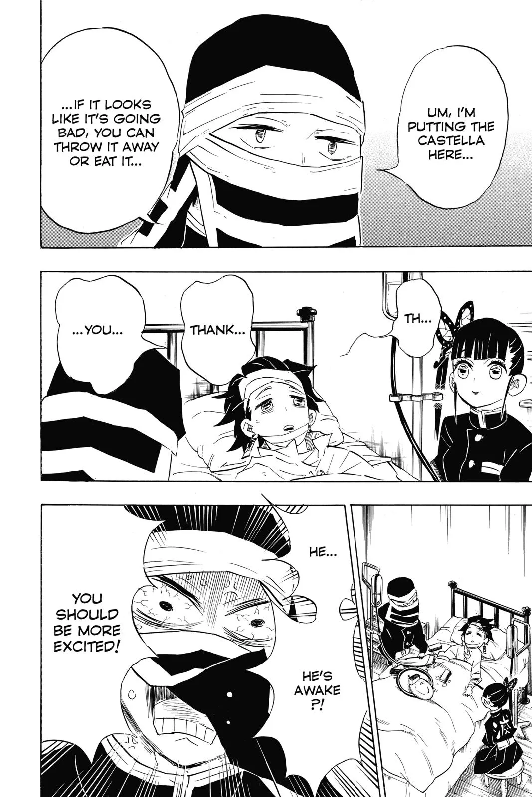Read Demon Slayer EN Manga Online