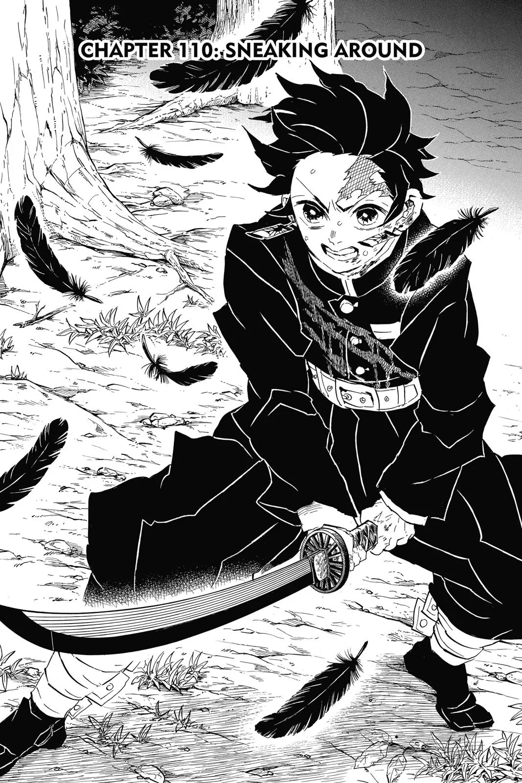 Read Demon Slayer EN Manga Online