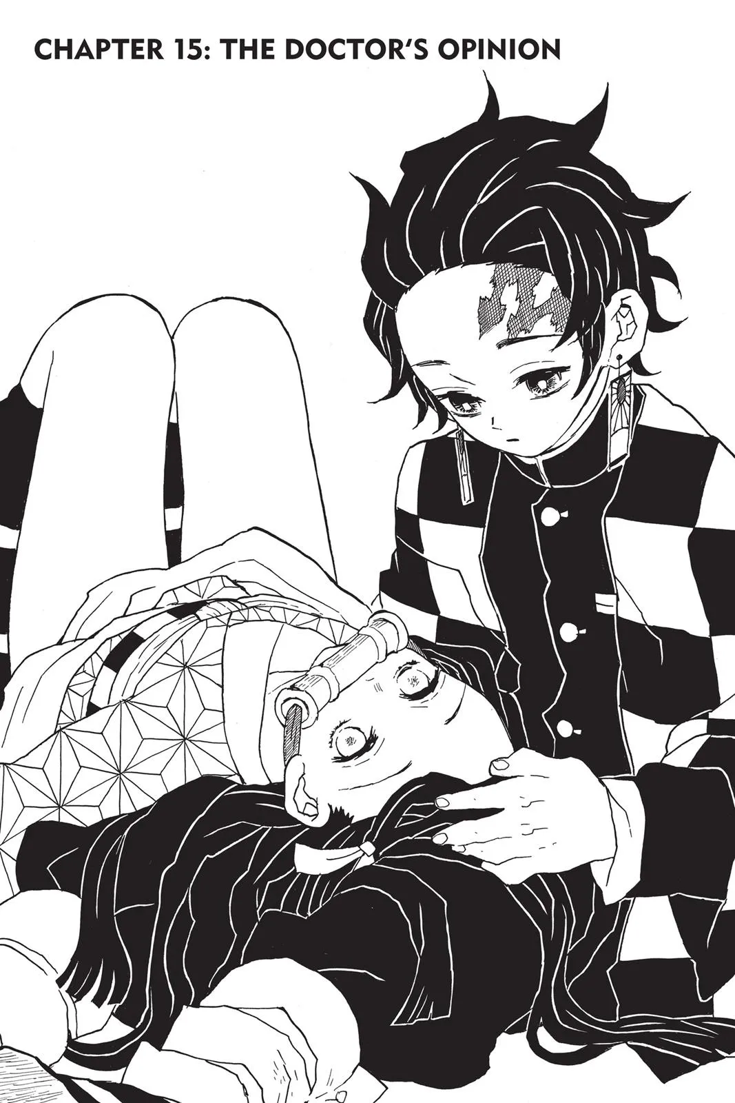 Read Demon Slayer EN Manga Online