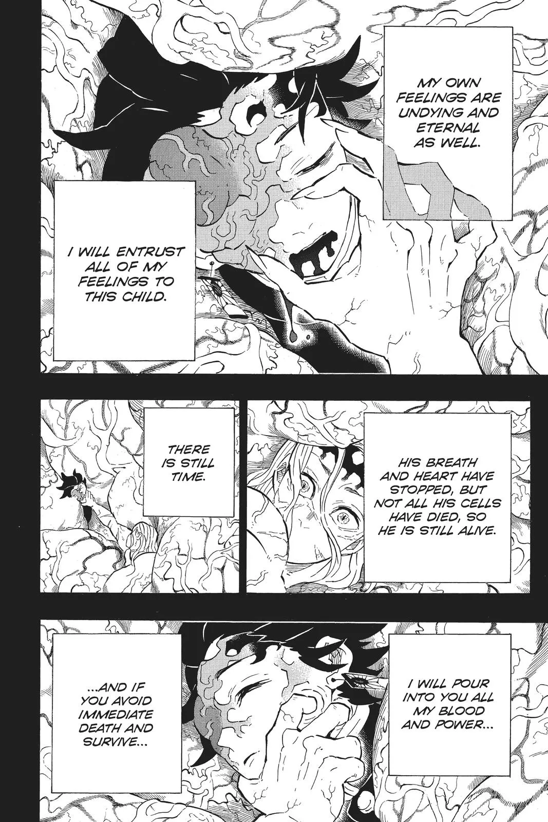 Read Demon Slayer EN Manga Online