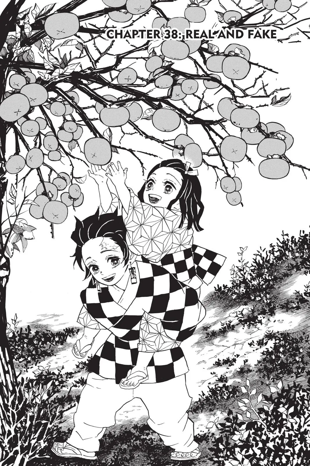 Read Demon Slayer EN Manga Online