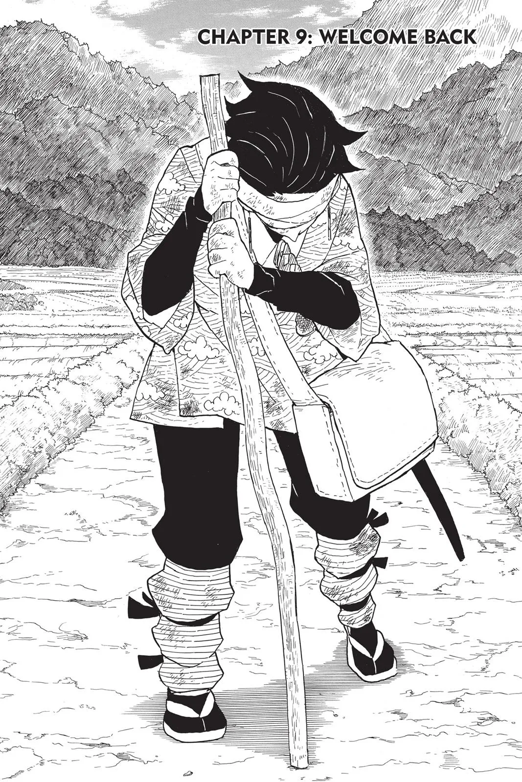 Read Demon Slayer EN Manga Online