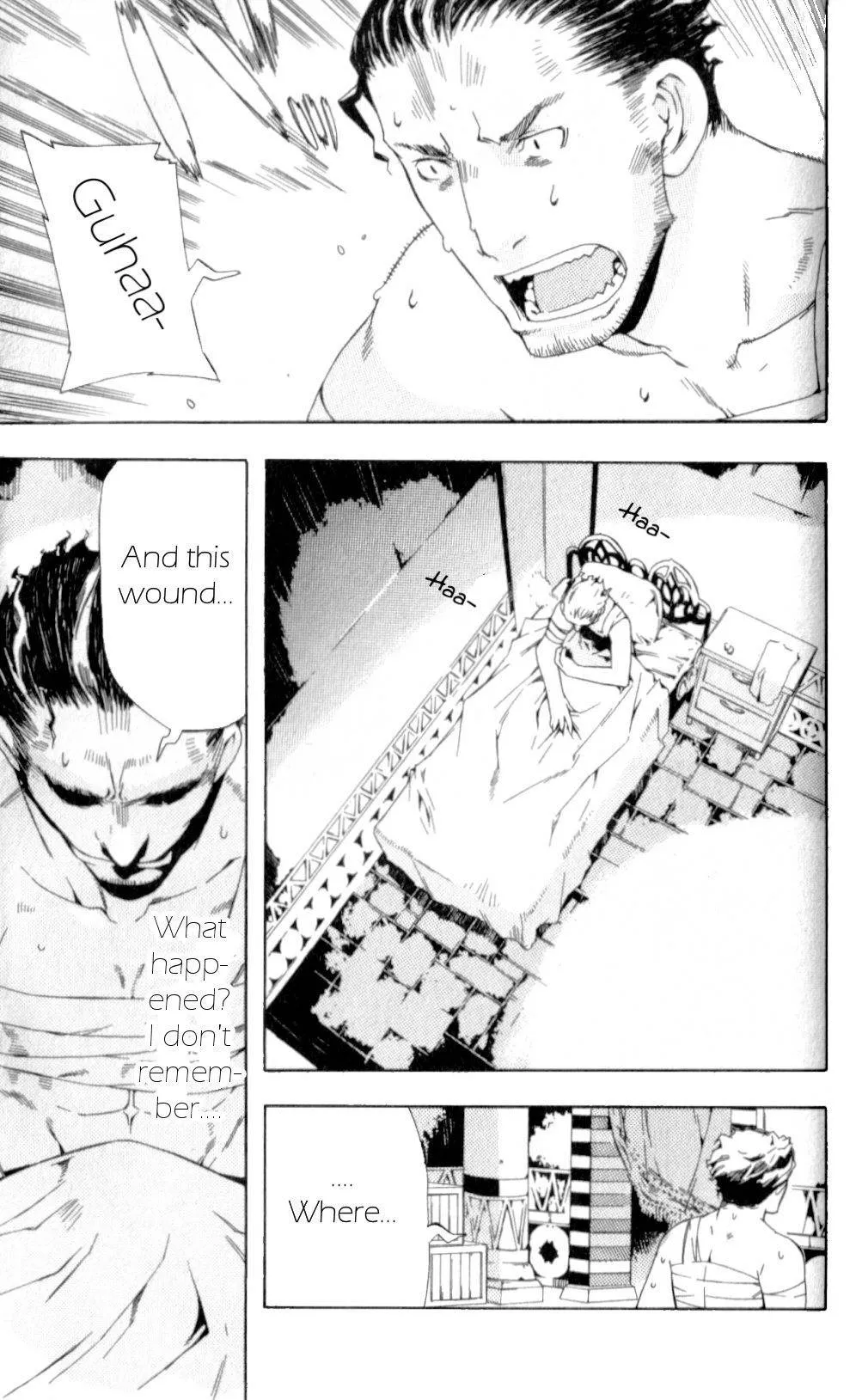 Read Final Fantasy XII EN Manga Online