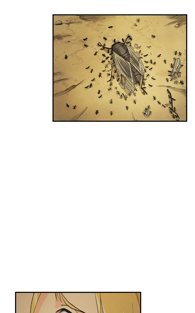 Read Fullmetal Alchemist  EN Manga Online