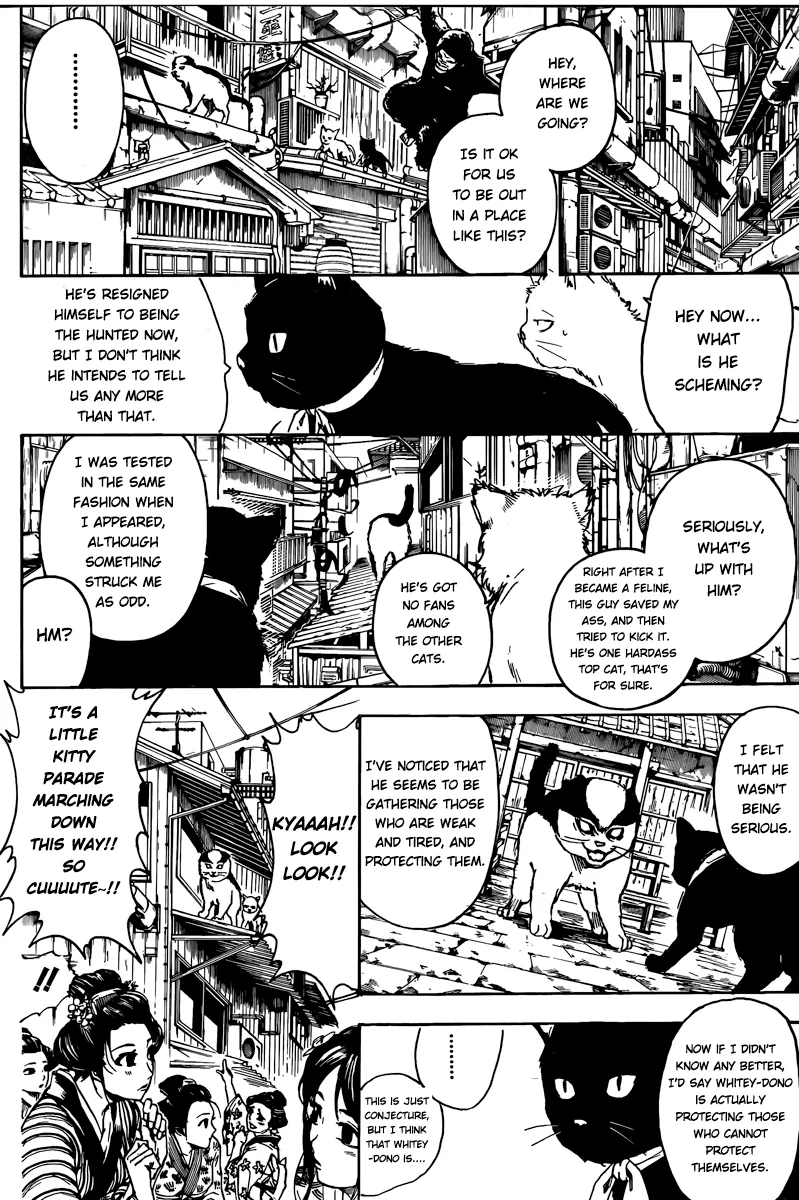 Read Gintama EN Manga Online