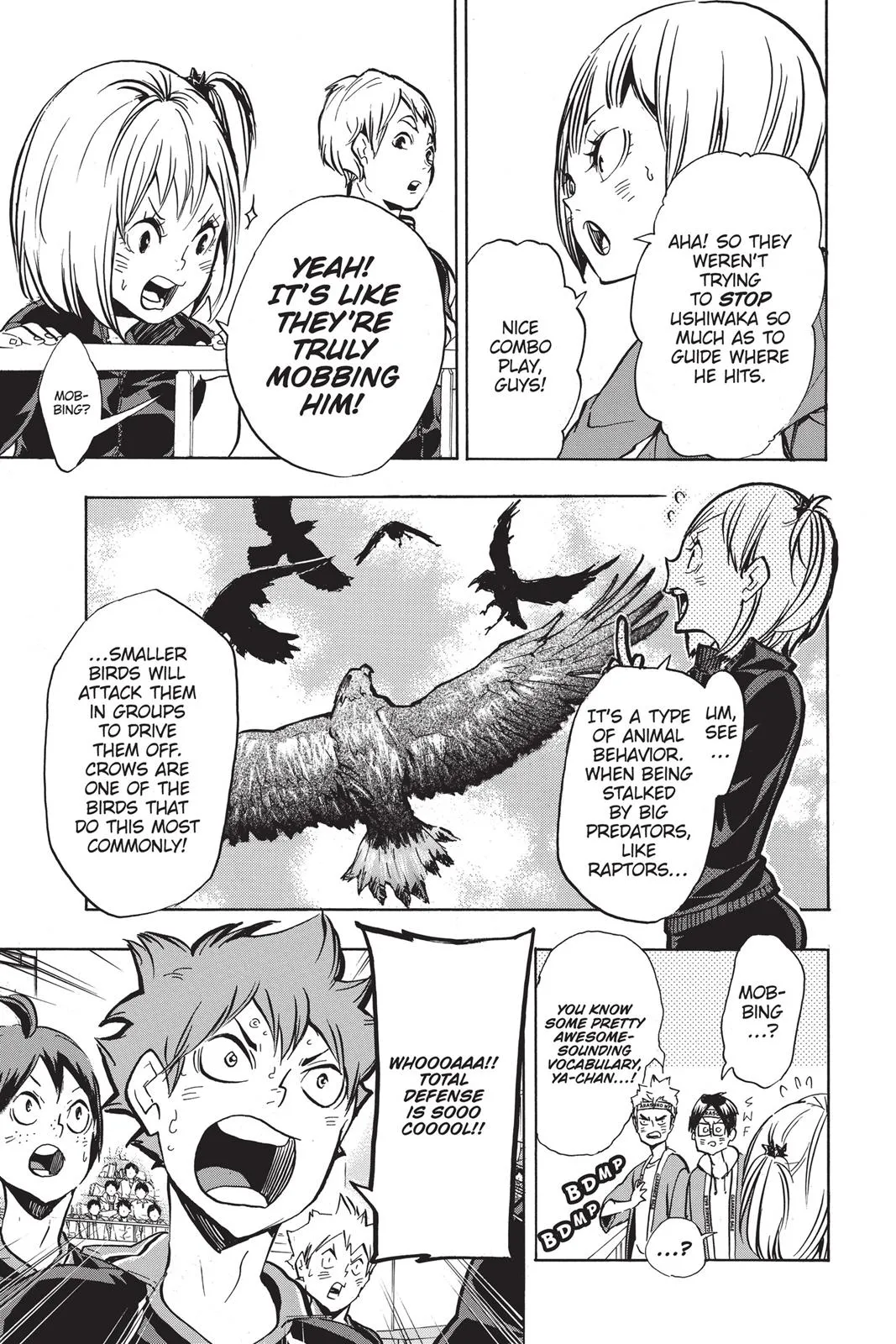 Read Haikyu!! EN Manga Online