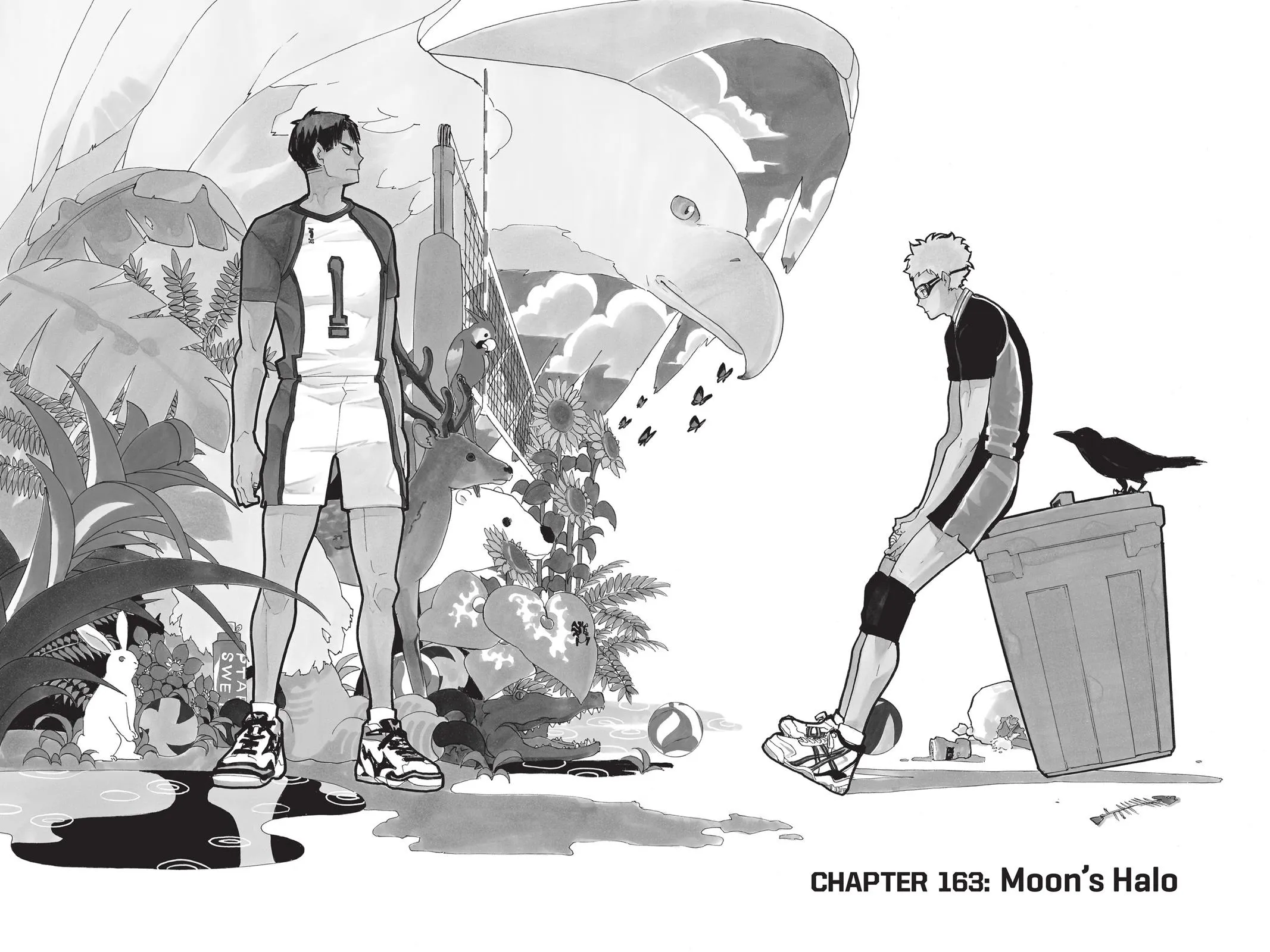 Read Haikyu!! EN Manga Online