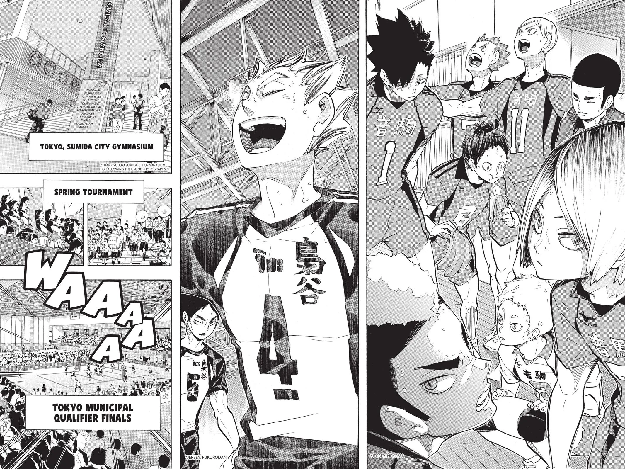 Read Haikyu!! EN Manga Online