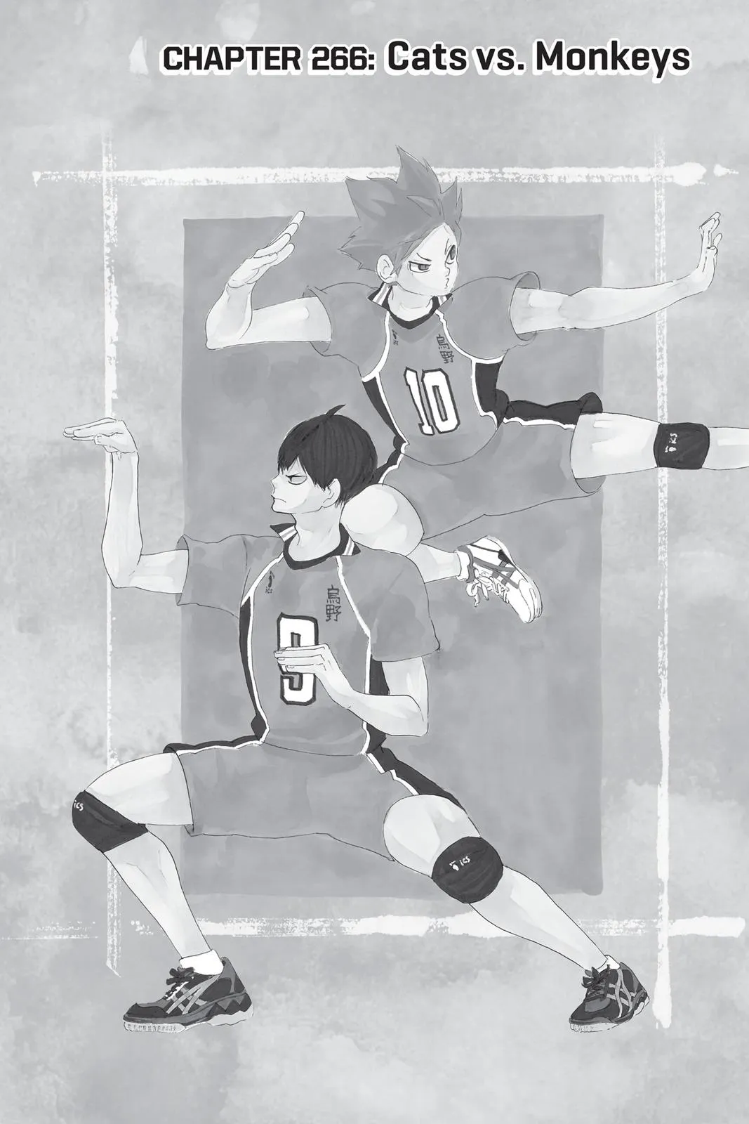 Read Haikyu!! EN Manga Online