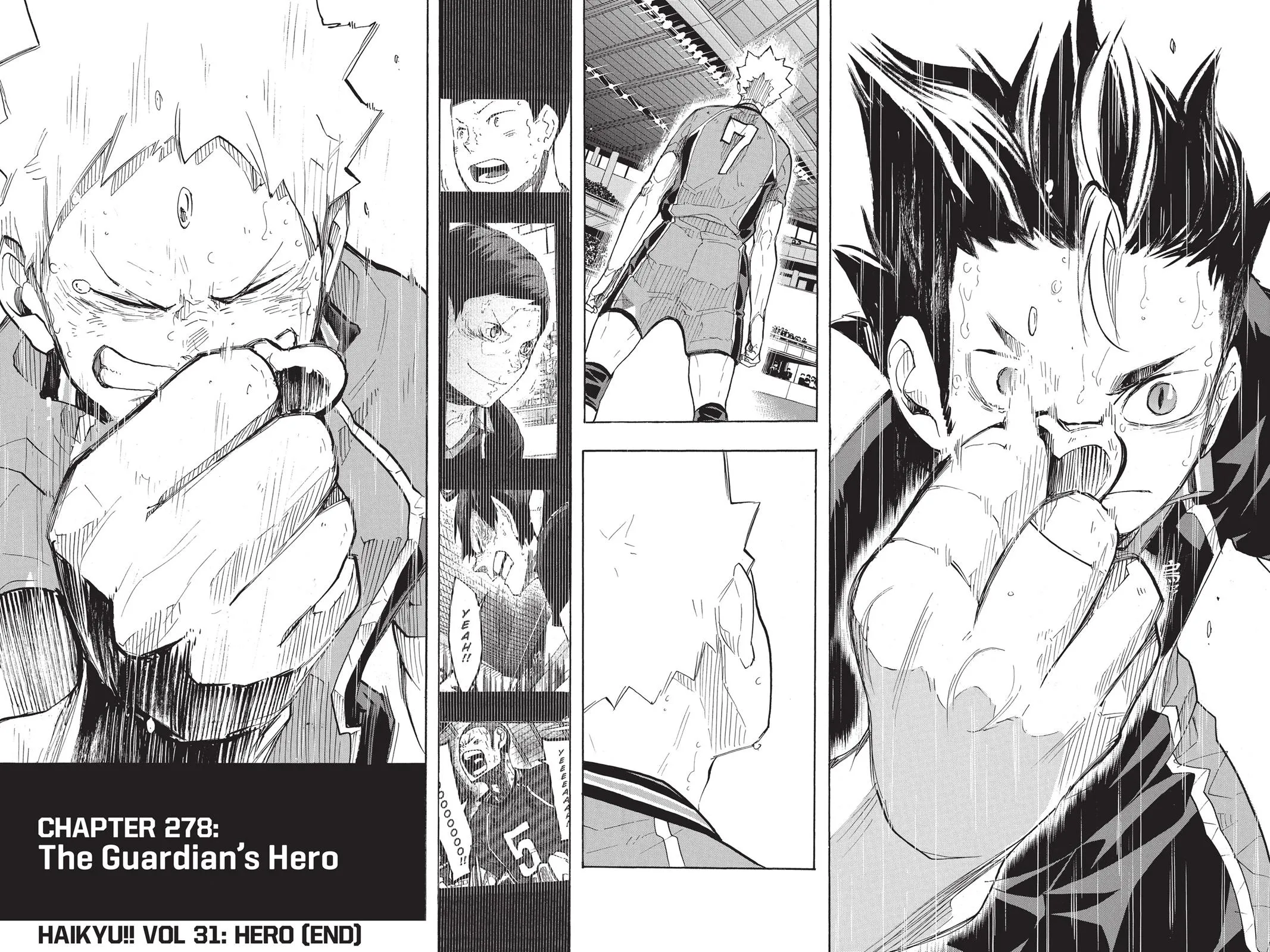 Read Haikyu!! EN Manga Online