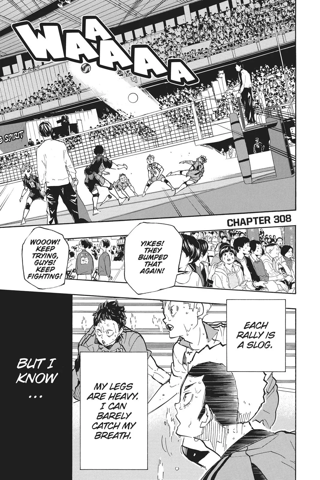 Read Haikyu!! EN Manga Online