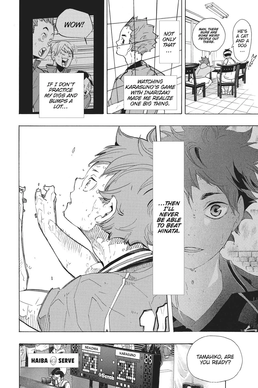 Read Haikyu!! EN Manga Online