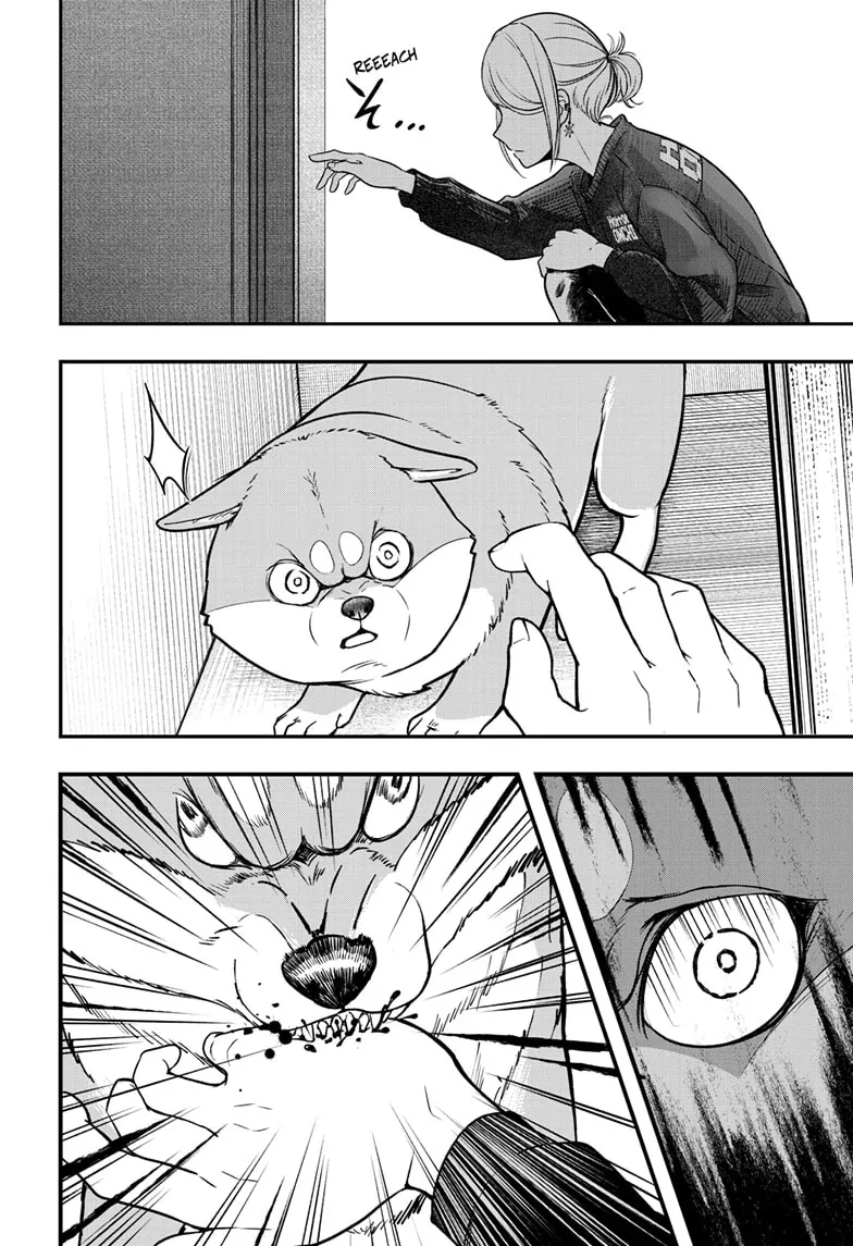 Read Shiba Inu Rooms EN Manga Online