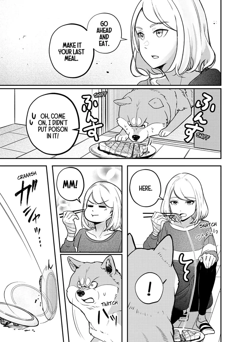 Read Shiba Inu Rooms EN Manga Online