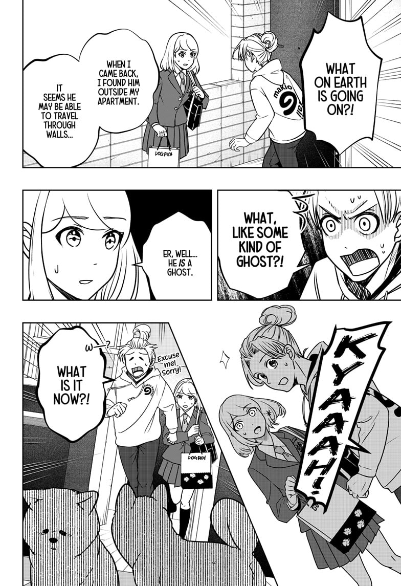 Read Shiba Inu Rooms EN Manga Online