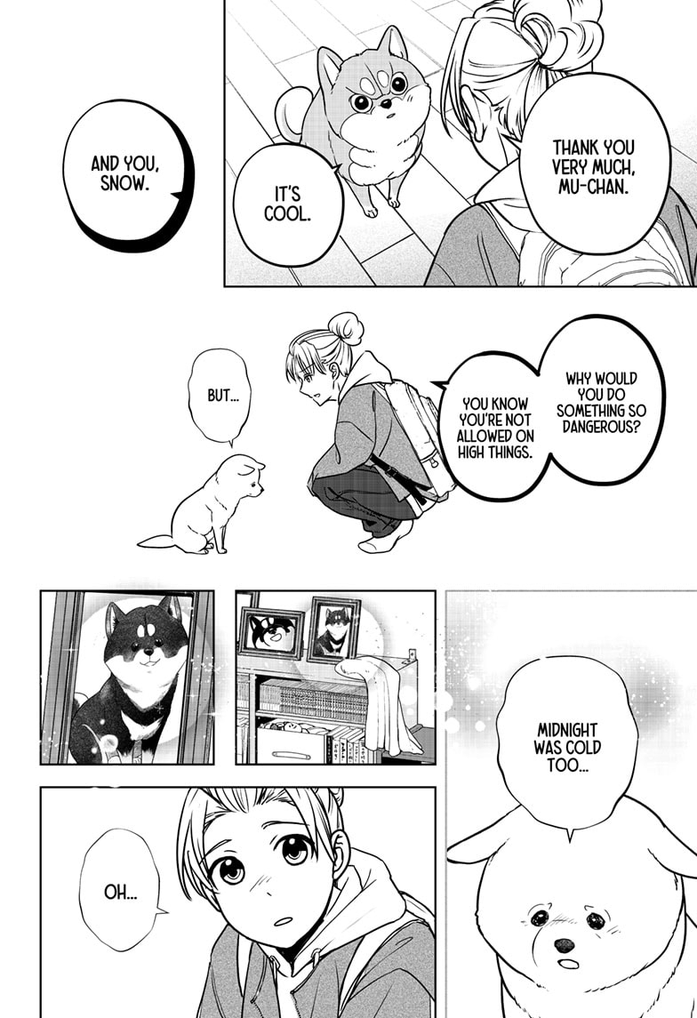 Read Shiba Inu Rooms EN Manga Online