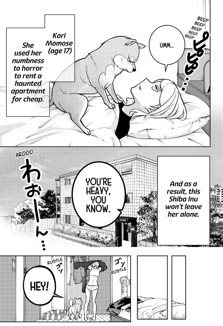 Read Shiba Inu Rooms EN Manga Online
