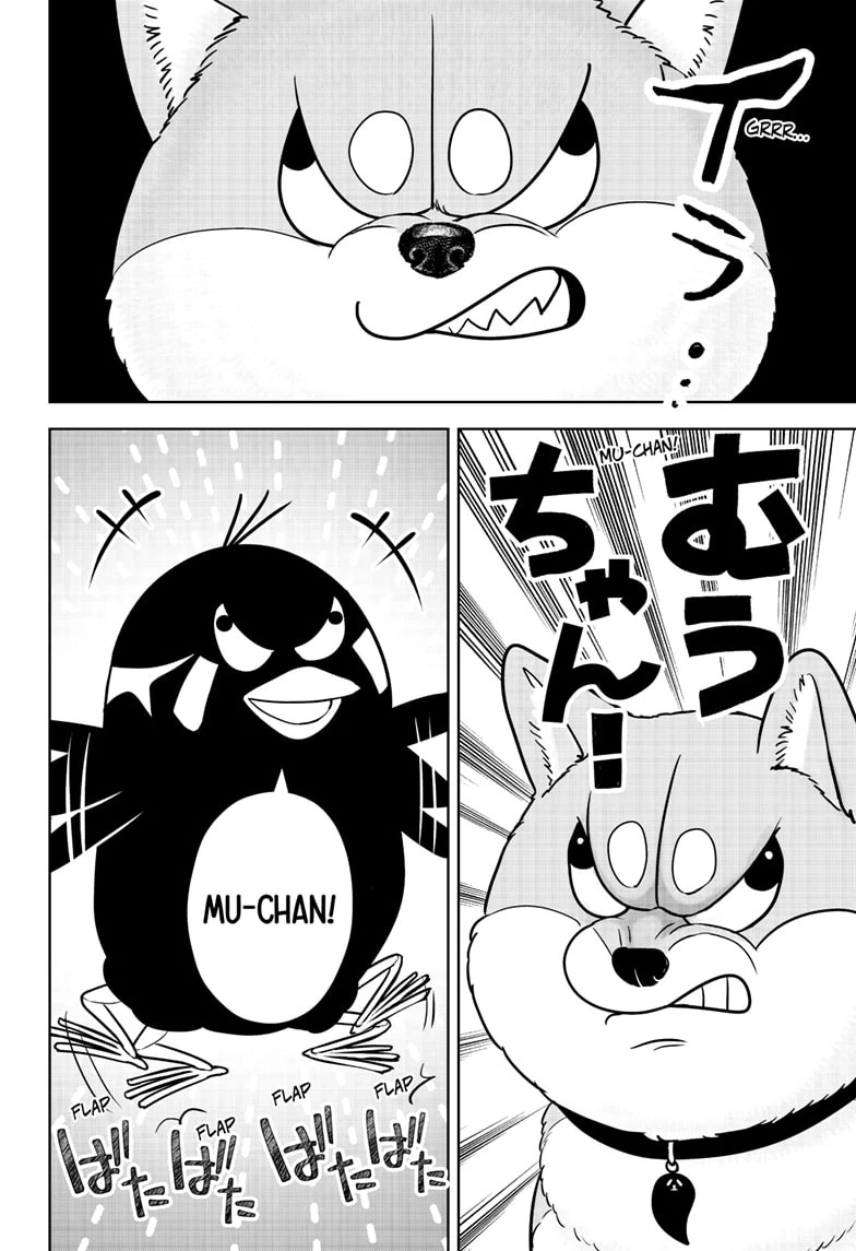 Read Shiba Inu Rooms EN Manga Online