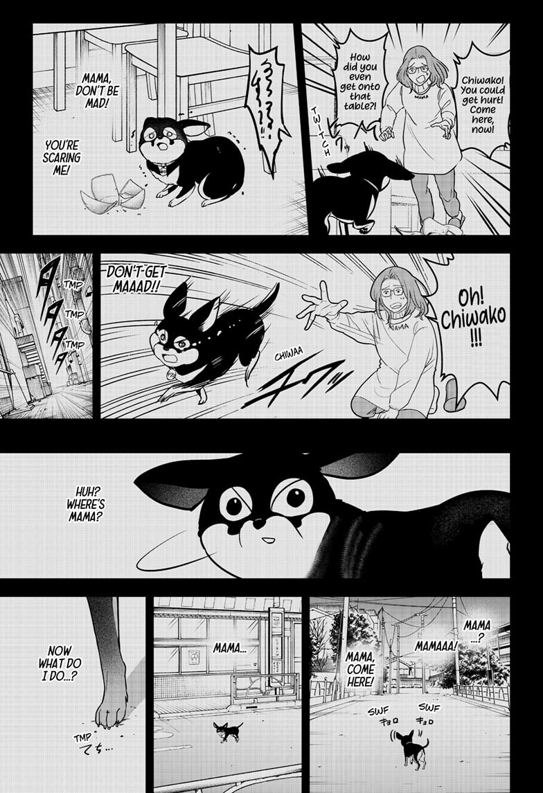 Read Shiba Inu Rooms EN Manga Online