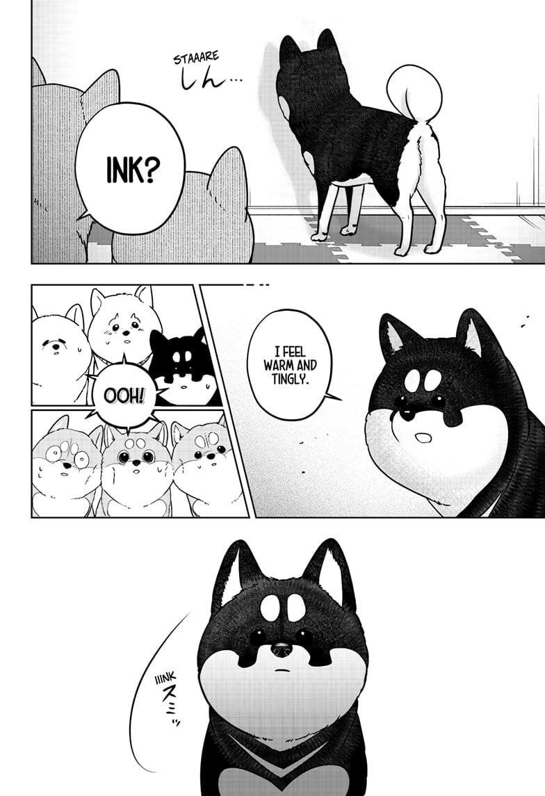 Read Shiba Inu Rooms EN Manga Online