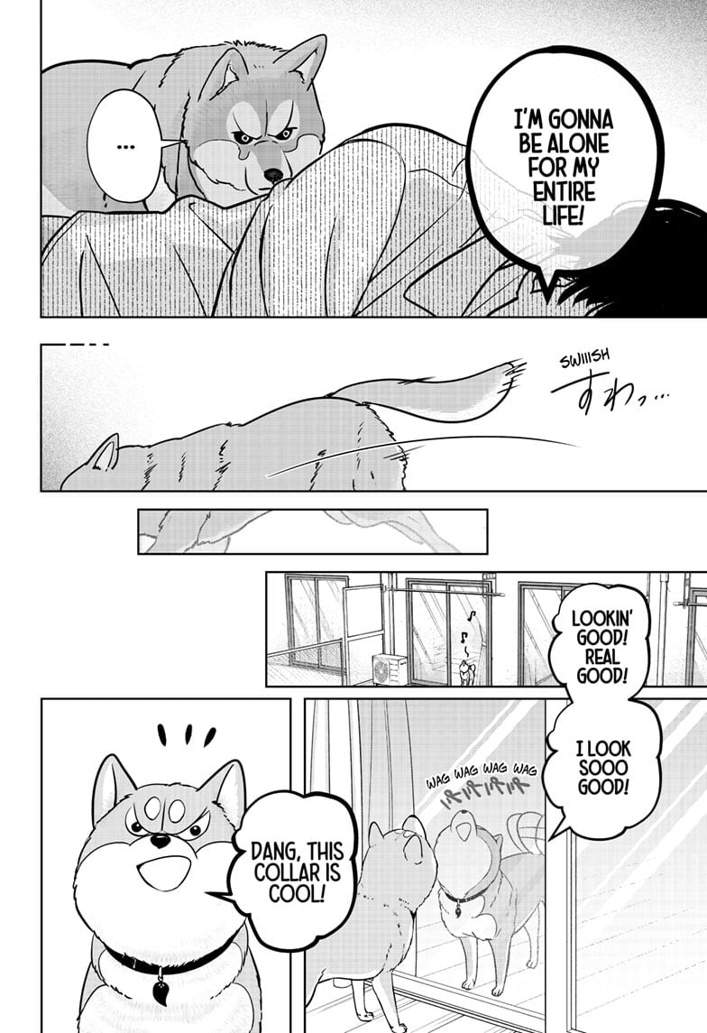 Read Shiba Inu Rooms EN Manga Online
