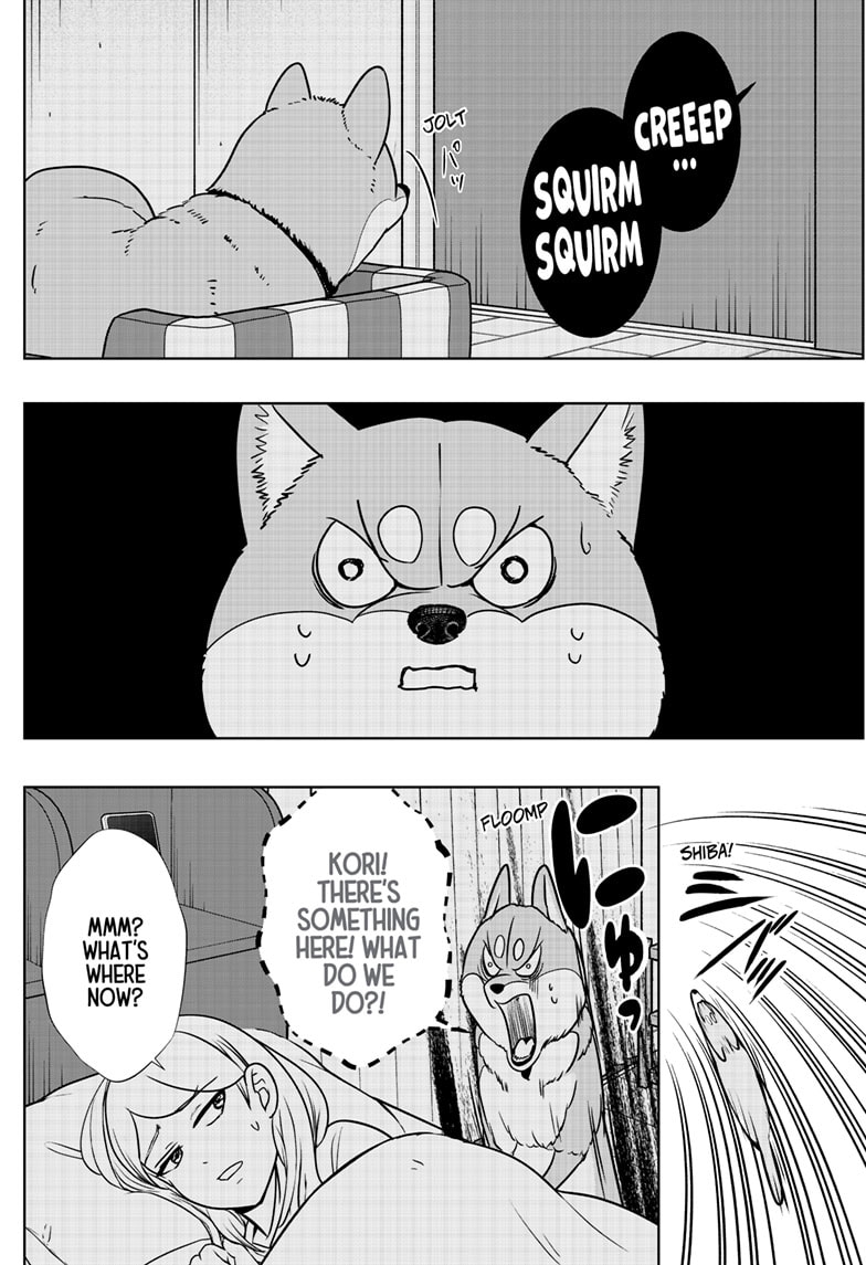 Read Shiba Inu Rooms EN Manga Online