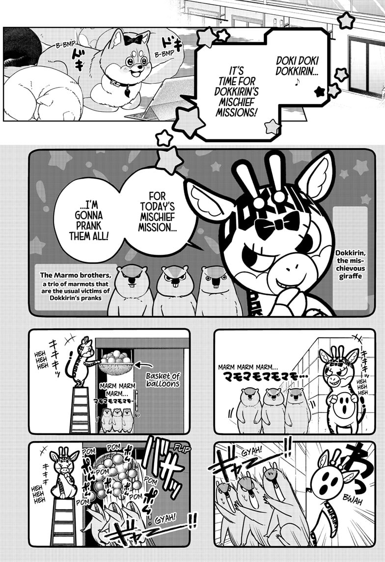 Read Shiba Inu Rooms EN Manga Online
