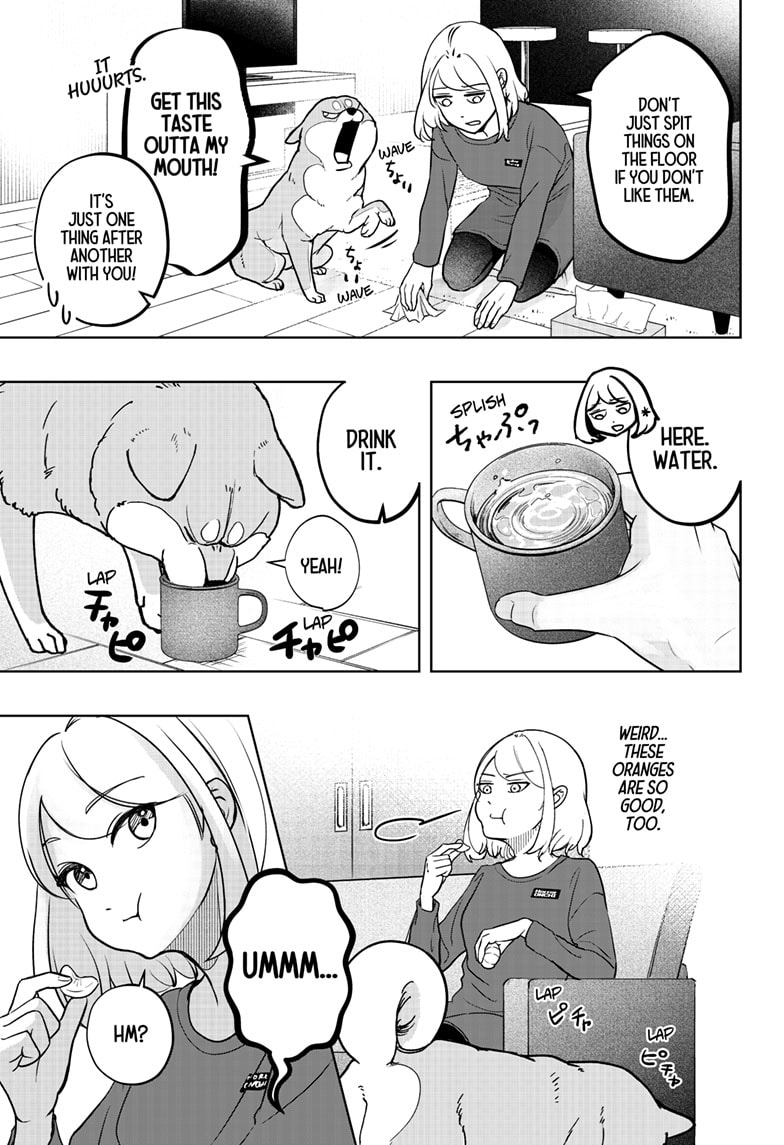 Read Shiba Inu Rooms EN Manga Online