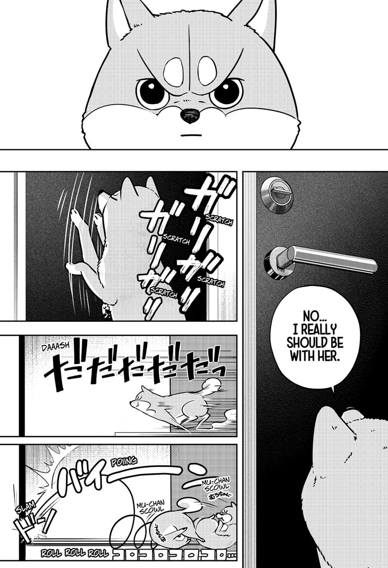 Read Shiba Inu Rooms EN Manga Online