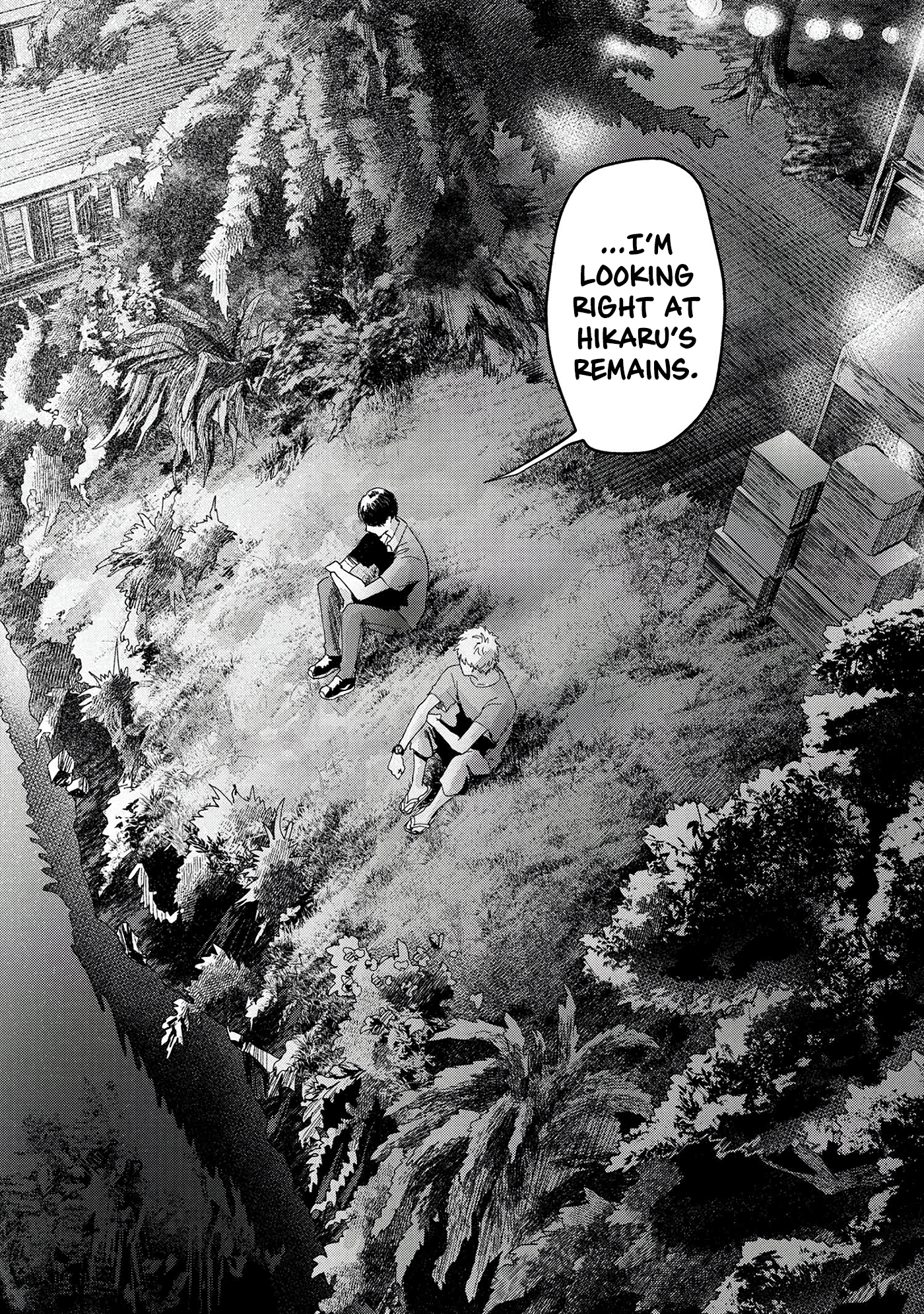 Read The Summer Hikaru Died EN Manga Online